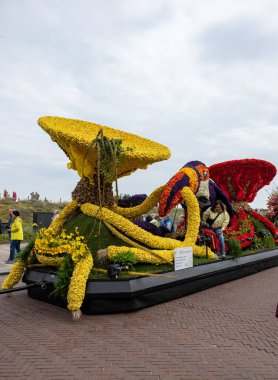 Noordwijk, Hollanda - 22 Nisan 2023: Bloemencorso Bollenstreek 'te Noordwijk' ten Hollanda 'daki Haarlem' e her yıl düzenlenen Bahar Çiçeği Geçidi 'nde muhteşem çiçekler kaplandı. 