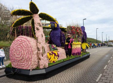 Noordwijk, Hollanda - 22 Nisan 2023: Bloemencorso Bollenstreek 'te Noordwijk' ten Hollanda 'daki Haarlem' e her yıl düzenlenen Bahar Çiçeği Geçidi 'nde muhteşem çiçekler kaplandı. 