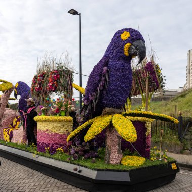 Noordwijk, Hollanda - 22 Nisan 2023: Bloemencorso Bollenstreek 'te Noordwijk' ten Hollanda 'daki Haarlem' e her yıl düzenlenen Bahar Çiçeği Geçidi 'nde muhteşem çiçekler kaplandı. 