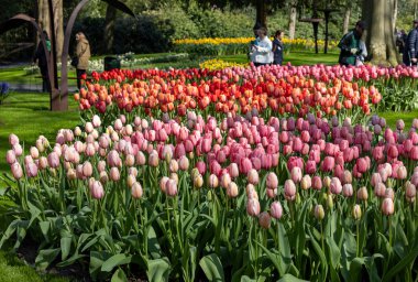 Keukenhof, Lisse Hollanda - 18 Nisan 2023: Hollanda, Lisse 'deki Keukenhof Garden' ı ziyaret edenler.