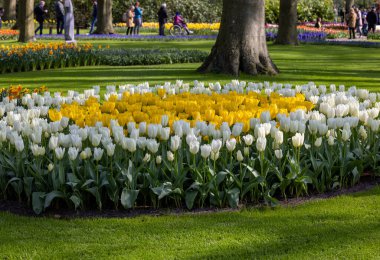 Keukenhof, Lisse Hollanda - 18 Nisan 2023: Hollanda, Lisse 'deki Keukenhof Garden' ı ziyaret edenler.