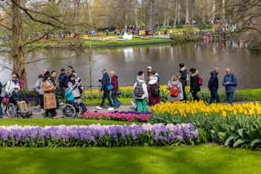 Keukenhof, Lisse Hollanda - 18 Nisan 2023: Hollanda, Lisse 'deki Keukenhof Garden' ı ziyaret edenler.