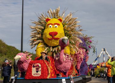 Noordwijk, Hollanda - 22 Nisan 2023: Bloemencorso Bollenstreek 'te Noordwijk' ten Hollanda 'daki Haarlem' e her yıl düzenlenen Bahar Çiçeği Geçidi 'nde muhteşem çiçekler kaplandı. 