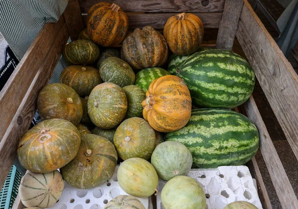 意大利伦巴第Cremona农民市场上的街头摊位上出售成熟的南瓜和瓜果 — 图库照片