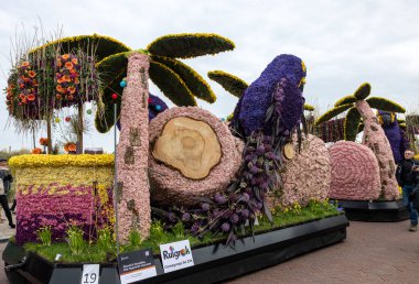 Noordwijk, Hollanda - 22 Nisan 2023: Bloemencorso Bollenstreek 'te Noordwijk' ten Hollanda 'daki Haarlem' e her yıl düzenlenen Bahar Çiçeği Geçidi 'nde muhteşem çiçekler kaplandı. 