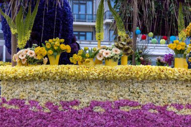 Noordwijk, Hollanda - 22 Nisan 2023: Bloemencorso Bollenstreek 'te Noordwijk' ten Hollanda 'daki Haarlem' e her yıl düzenlenen Bahar Çiçeği Geçidi 'nde muhteşem çiçekler kaplandı. 