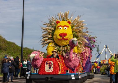 Noordwijk, Hollanda - 22 Nisan 2023: Bloemencorso Bollenstreek 'te Noordwijk' ten Hollanda 'daki Haarlem' e her yıl düzenlenen Bahar Çiçeği Geçidi 'nde muhteşem çiçekler kaplandı. 