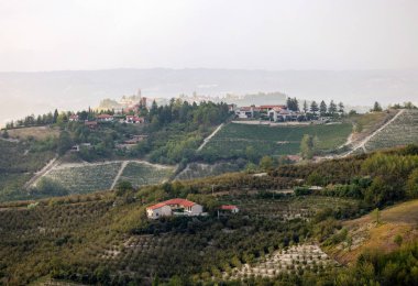 Piedmont, İtalya 'da Albaretto della Torre bölgesinde fındık ağaçları