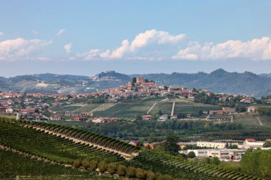 Grinzane Cavour yakınlarındaki Langhe üzüm bağları. Unesco Sitesi, Piedmont, İtalya