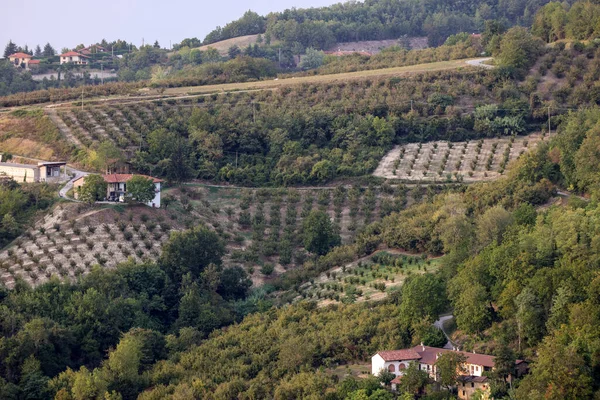 意大利皮埃蒙特Albaretto Della Torre地区的一丛丛榛子 — 图库照片