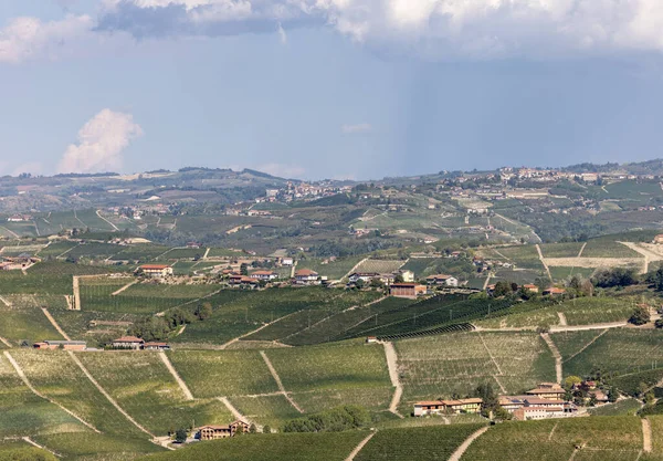 Langhe Vineyards Barolo Morra Unesco Site Piedmont Italy — Stock Photo, Image