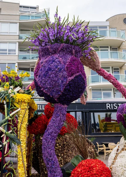 Нордвиг Нидерланды Апреля 2023 Года Блуменкорсо Проходит Ежегодный Весенний Цветочный — стоковое фото