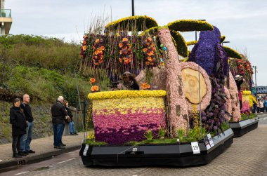 Noordwijk, Hollanda - 22 Nisan 2023: Bloemencorso Bollenstreek 'te Noordwijk' ten Hollanda 'daki Haarlem' e her yıl düzenlenen Bahar Çiçeği Geçidi 'nde muhteşem çiçekler kaplandı. 