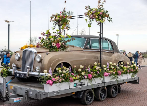 Noordwijk Ολλανδία Απριλίου 2023 Εντυπωσιακό Λουλούδι Που Καλύπτεται Επιπλέει Στο — Φωτογραφία Αρχείου