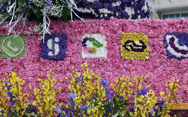 Нордвиг Нидерланды Апреля 2023 Года Блуменкорсо Проходит Ежегодный Весенний Цветочный — стоковое фото