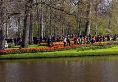 Keukenhof, Lisse Hollanda - 18 Nisan 2023: Hollanda, Lisse 'deki Keukenhof Garden' ı ziyaret edenler.