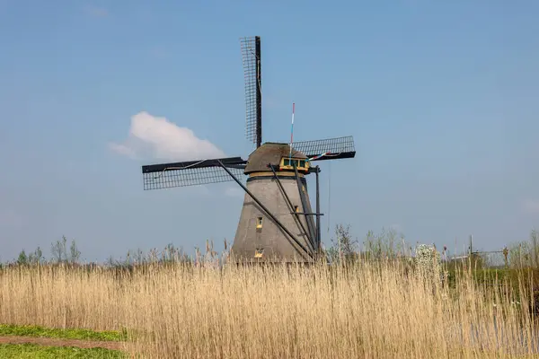 Väderkvarnarna Kinderdijk Nederländerna Byggd 1740 Detta Den Största Koncentrationen Väderkvarnar — Stockfoto