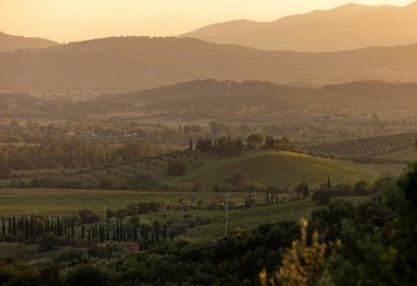 Grosseto bölgesindeki Montemassi çevresindeki tarım arazileri ve zeytinlikler. İtalya