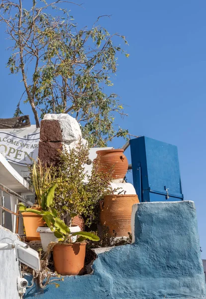 Oia Santorin Griechenland Juni 2021 Blumentöpfe Auf Blauem Hintergrund Oia — Stockfoto
