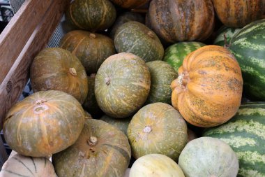 Cremona, Lombardy, İtalya 'daki çiftçi pazarı sırasında bir sokak tezgahında olgun balkabakları ve kavunlar satılıyor.