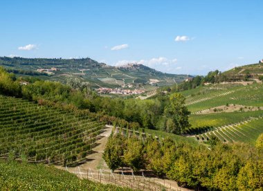 Langhe vineyards near Barolo Unesco Site, Piedmont, Italy