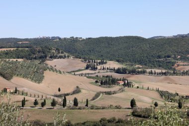  Tuscany 'deki Pienza yakınlarındaki kırsal alan. İtalya