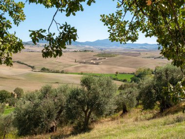  Tuscany 'deki Pienza yakınlarındaki kırsal alan. İtalya