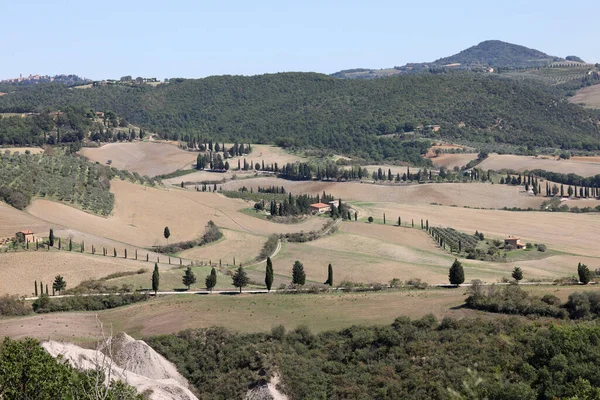  Tuscany 'deki Pienza yakınlarındaki kırsal alan. İtalya