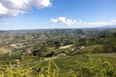 Barolo ve La Morra yakınlarındaki Langhe üzüm bağları, Unesco Sitesi, Piedmont, İtalya