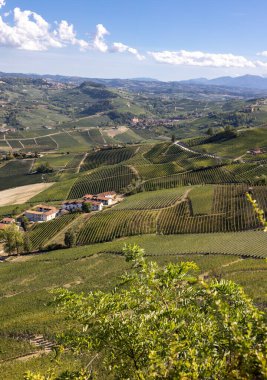 Barolo ve La Morra yakınlarındaki Langhe üzüm bağları, Unesco Sitesi, Piedmont, İtalya