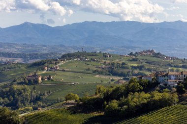 La Morra 'dan Langhe üzüm bağlarının manzarası, UNESCO Sitesi, Piedmont, İtalya