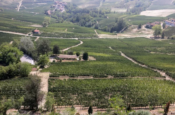 Langhe Wijngaarden Bij Morra Unesco Site Piemonte Italië — Stockfoto