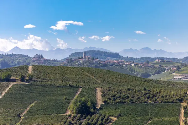 Grinzane Cavour Dan Langhe Üzüm Bağlarının Manzarası Unesco Sitesi Piedmont — Stok fotoğraf