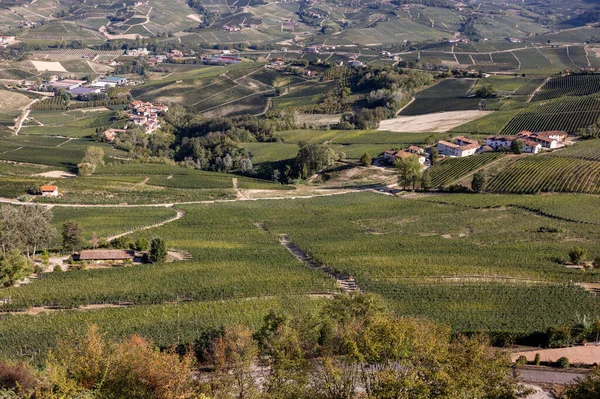 Blick Auf Die Langhe Weinberge Von Morra Unesco Weltkulturerbe Piemont — Stockfoto