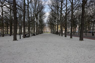 Lahey, Hollanda - 17 Nisan 2023: Lahey 'deki Lange Voorhout parkındaki güzel ağaçlı yürüyüş sokağı