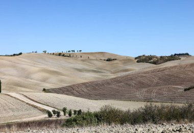  Tuscany 'deki San Quirico yakınlarındaki kırsal alan. İtalya
