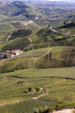 La Morra 'dan Langhe üzüm bağlarının manzarası, UNESCO Sitesi, Piedmont, İtalya