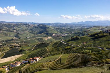 La Morra 'dan Langhe üzüm bağlarının manzarası, UNESCO Sitesi, Piedmont, İtalya