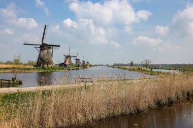 Kinderdijk, Hollanda - 17 Nisan 2023: 19 Kinderdijk 'te inşa edilen yel değirmenleri, seli önlemek için daha büyük bir su yönetim sisteminin parçasıdır. Bir UNESCO dünya mirası sahası.