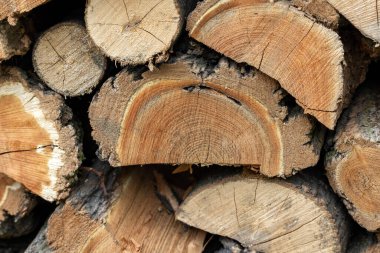  Kış için hazırlanmış odun yığını 