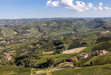 Barolo ve La Morra yakınlarındaki Langhe üzüm bağları, Unesco Sitesi, Piedmont, İtalya