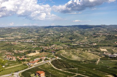 Barolo ve La Morra yakınlarındaki Langhe üzüm bağları, Unesco Sitesi, Piedmont, İtalya