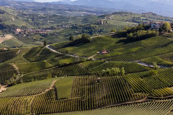 stock image View of Langhe vineyards from La Morra,  UNESCO Site, Piedmont, Italy