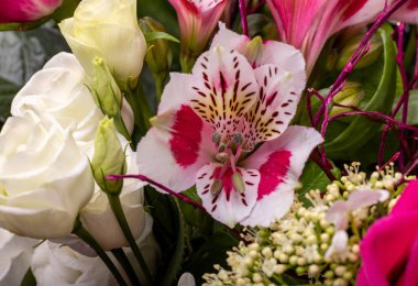 beautiful florist bouquet of roses and freesias