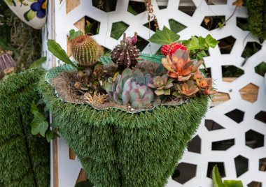  Torremolinos 'taki gezinti güvertesinde kaktüslerin çiçeksel kompozisyonu ve sedum. Costa del Sol. İspanya