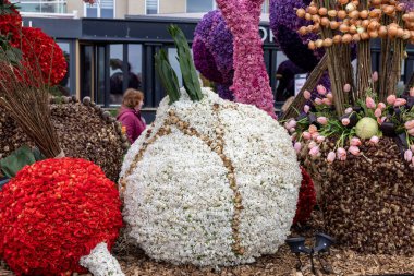 Noordwijk, Hollanda - 22 Nisan 2023: Bloemencorso Bollenstreek 'te Noordwijk' ten Hollanda 'daki Haarlem' e her yıl düzenlenen Bahar Çiçeği Geçidi 'nde muhteşem çiçekler kaplandı. 