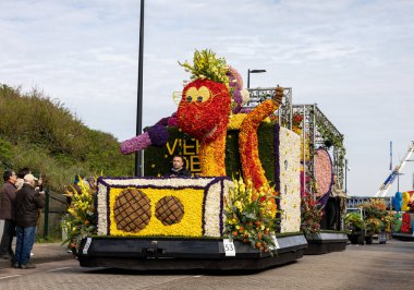Noordwijk, Hollanda - 22 Nisan 2023: Bloemencorso Bollenstreek 'te Noordwijk' ten Hollanda 'daki Haarlem' e her yıl düzenlenen Bahar Çiçeği Geçidi 'nde muhteşem çiçekler kaplandı. 
