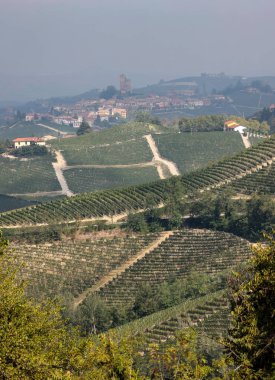 Barolo ve La Morra yakınlarındaki Langhe üzüm bağları, Unesco Sitesi, Piedmont, İtalya