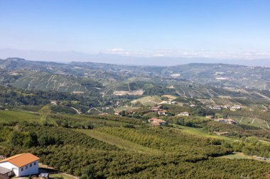 Piedmont 'taki Diano d' Alba 'dan Langhe-Roero tepelerinin ve üzüm bağlarının manzarası. İtalya