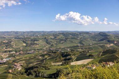 Barolo ve La Morra yakınlarındaki Langhe üzüm bağları, Unesco Sitesi, Piedmont, İtalya